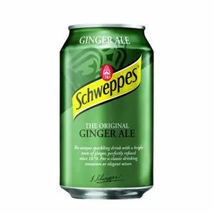 Напиток газ ШВЕПС Canada Dry Ginger AIe 0,2л 